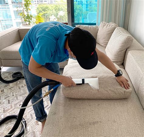 cleaning sofa with carpet cleaner